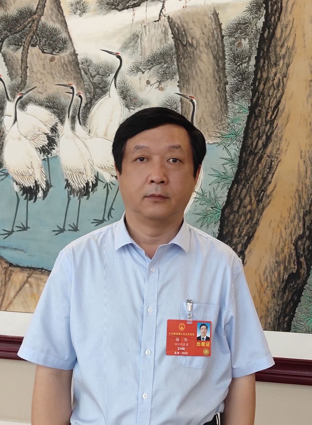 2.全国人大代表、中国科学院院士、易游（中国）<head>副总经理杨伟